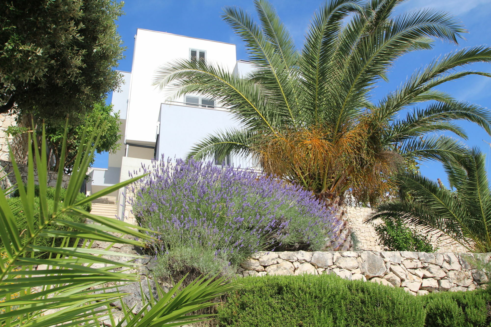 Lavanda Deluxe Apartment